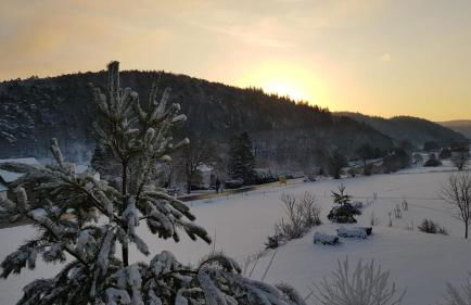 Ferienwohnung am Ring - Foto 18