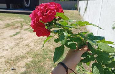 Casa de Francisca - Foto 20