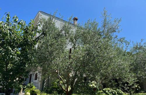 Apartman Barićevi dvori - Foto 20