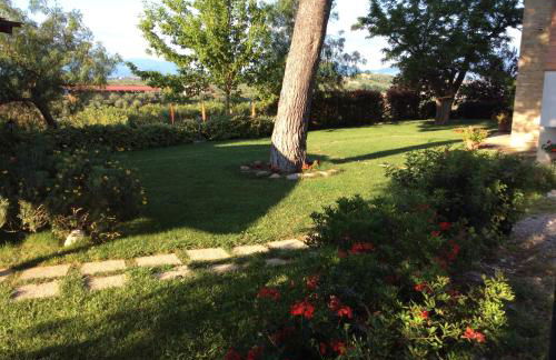 Agriturismo Fattoria colle Luca - Foto 27