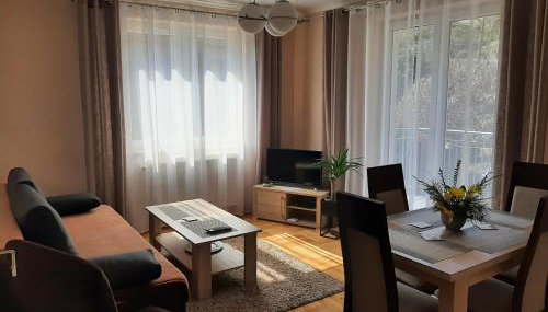 Apartamenty ,,Trzy Sosny'' Rymanów-Zdrój - Foto 3