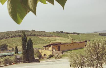 Bacco a Petroio - Foto 3