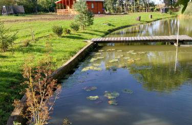 Pond Cabin - Foto 30