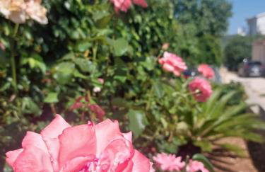 Apartman Skoko - Foto 14