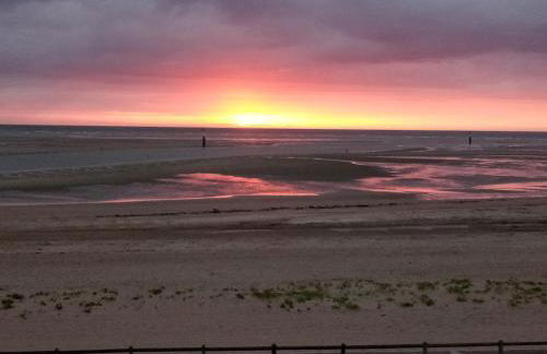 Grand studio face à la mer - Photo 15