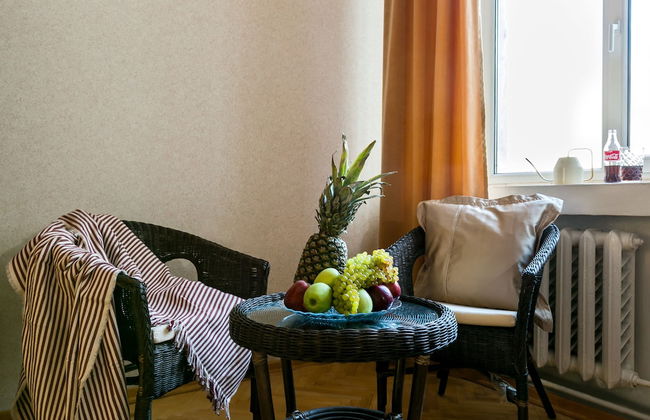 GM Apartment Serafimovicha 2-415 - Photo 39