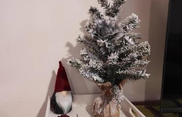 Apartman Izabela 5G - Foto 42