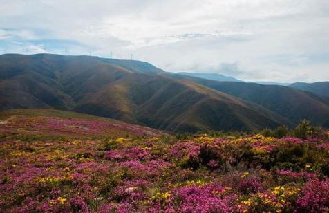 Arouca Passadiços Alojamentos & Jacuzzi - SPA - Foto 48