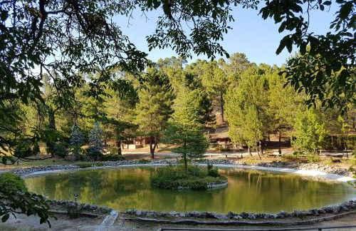 La cabaña del lago en ZAFIRO LAGUNAZO Parque Natural del Río Mundo - Foto 35