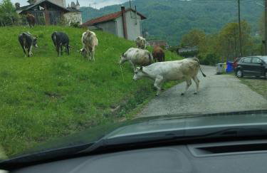 Casa Pinocchio - Foto 19