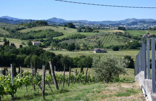 Tenuta Tralice - Foto 21