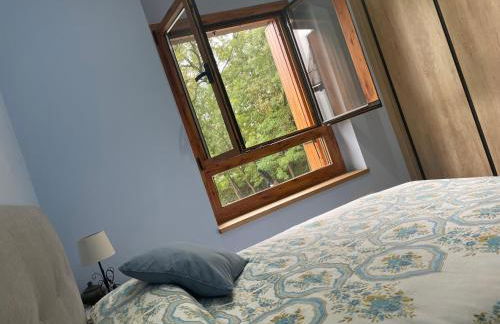 El Arco de Piedrafita - Photo 25