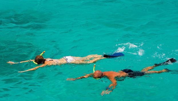 Nachmittags-Schnorchelabenteuer - Foto 2