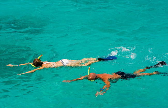 Nachmittags-Schnorchelabenteuer - Foto 2