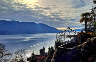 Residenza Le Camelie - Foto 8