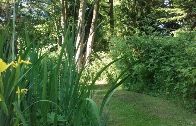 Ahlers Holiday Apartment - Foto 17