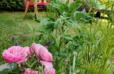 Lawendowy Domek agroturystyka, noclegi - 2,7 km od Bałtowa - Foto 48
