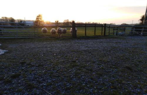 Conwy Pen Cefn Farm Holiday - Photo 21