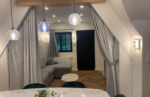 La Chaumière Luxury Domain with 2 Apartments Spa and Pool near Disneyland - Foto 31