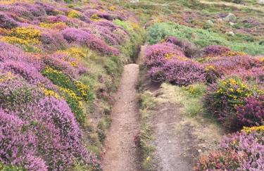 1bed Cottage Sleeps 2 - Enclosed Garden, Pets, Bbq - Foto 28