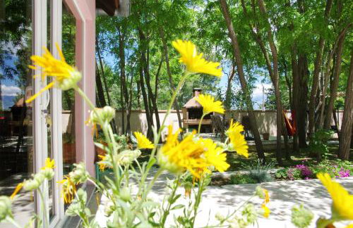 Vila Green Oasis Miro - Foto 49