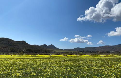 Villa Mi Marino - Foto 75