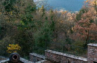 The Foxes - Modern 1BD apartment in the Forest - Foto 41