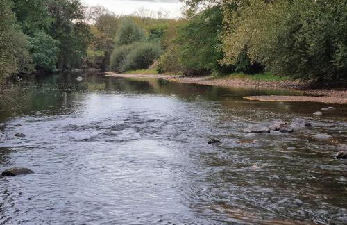 L'Eclat de menthe - Foto 27
