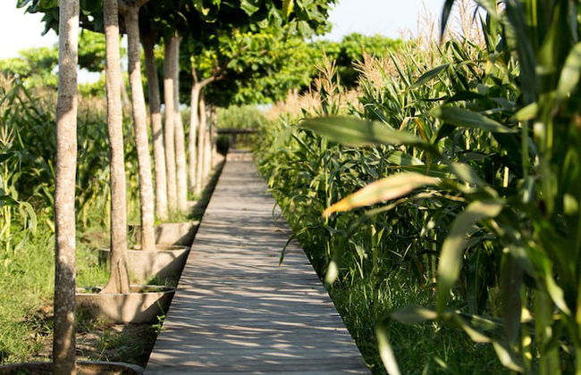 Sanur Residence - Foto 39