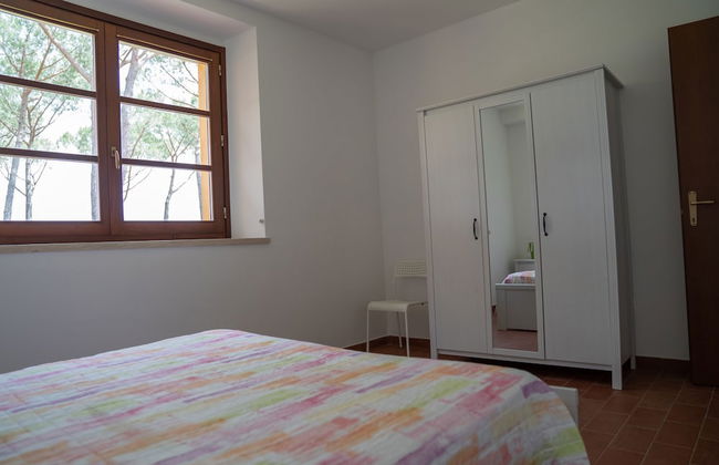 Agriturismo Borgo Bernabei - Foto 79