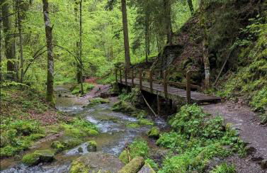 Ferienwohnung Schwarzwaldglück - Foto 38