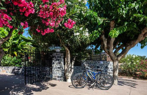 Villa Kamelia - Photo 29