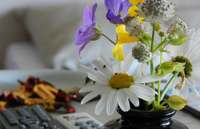 Blue Wall BnB - business apartments - Foto 73