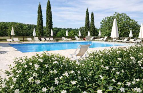 Fattoria Agriturismo Nerbona - Photo 39