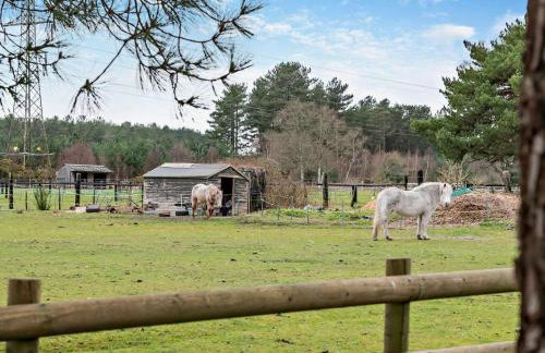 2 Bed in Ringwood oc-94272 - Foto 9