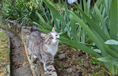 Residence Casa Lama - Foto 15