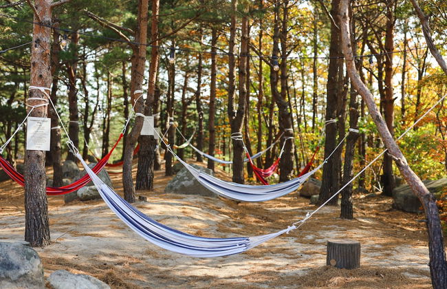 Kensington Resort Seorak Valley - Foto 46