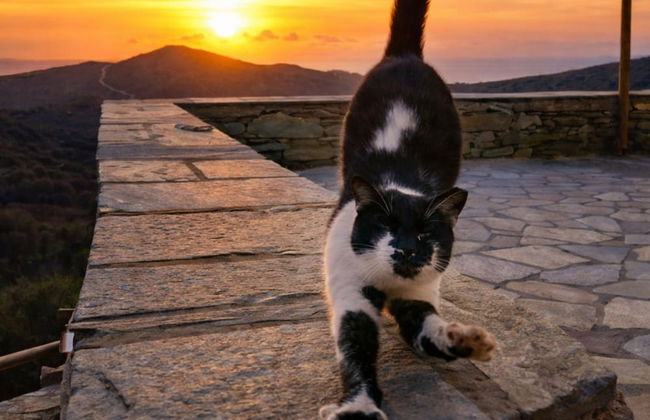 Villa Kotseli: Traditional Stone House with Pool & Sunset Sea Views - Foto 49