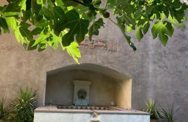 Mas de silvacane - Foto 1