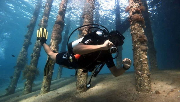 Attività di immersione nel Mar Rosso