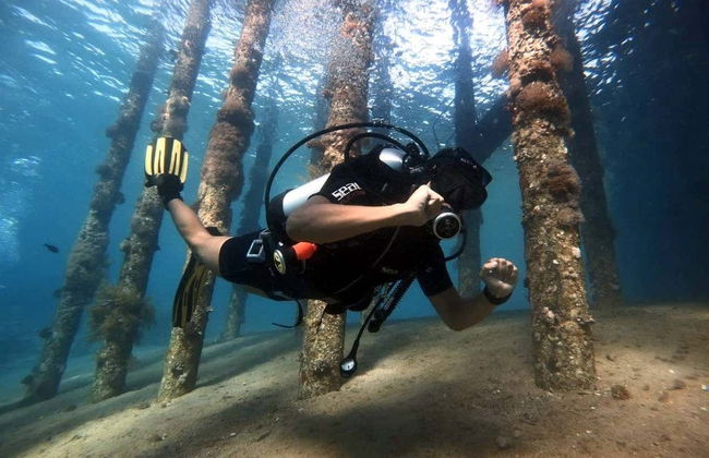 Plongée en mer rouge - Photo 3