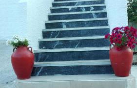 Dinos Green Place - Photo 19