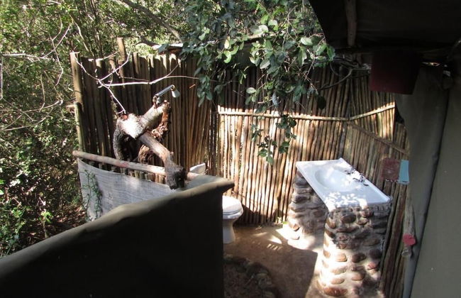 3 bed Bush-tent Under 3 Trees, for Couple Plus Chaperone Free Lionhyena Sounds - Foto 3