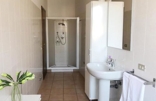 Rose e Tulipani - Foto 13