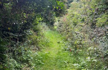 The Hive, Maghera, Newcastle - Foto 6