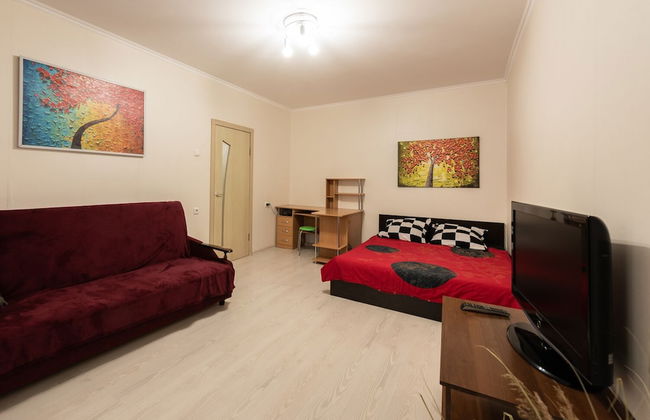 Apartment on Vertolyotchikov 13 - Photo 1