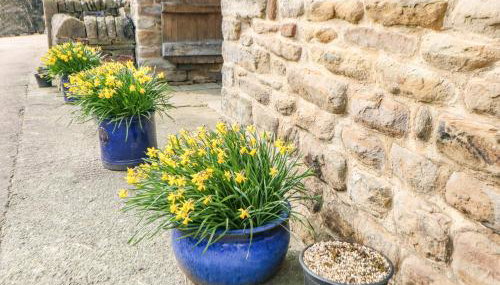 Midfeather Cottage - Foto 4