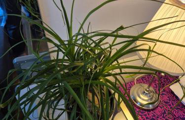 Channel-Appartement cosy avec piscine, jardin & nature aux portes de Paris - Foto 9