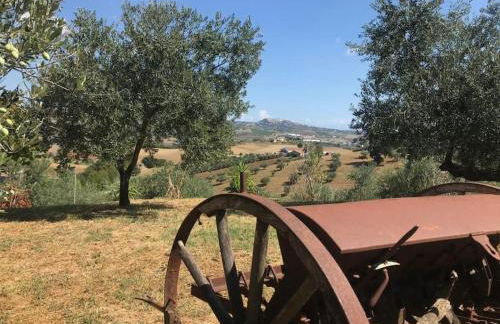 Appartamento Olivo - Foto 12