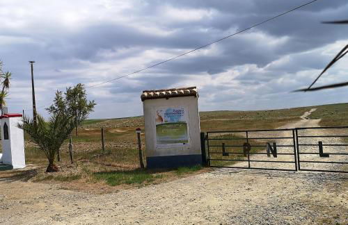 Abetarda CC - Foto 48